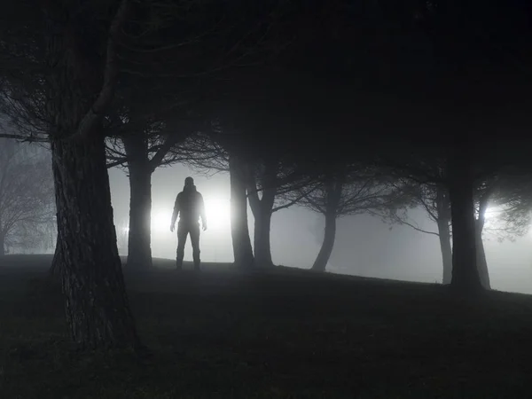 Silhouette Man Standing Park Night — Zdjęcie stockowe