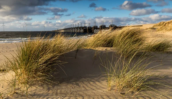 Delta Works Sand Dunes Beach Kamperland Zeeland Holland — 图库照片