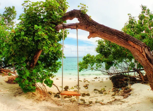 Scenic View Swing Beach Fiholhohi Island Kaafu Maldives — Stock Photo, Image