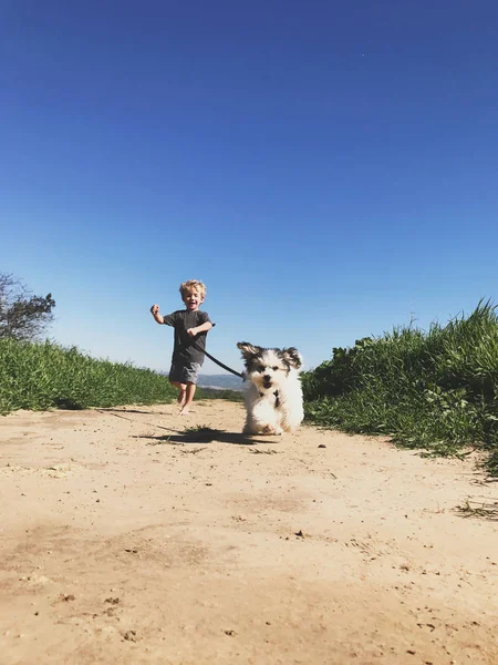 米国カリフォルニア州オレンジ郡の公園で子犬と一緒に走っている男の子 — ストック写真