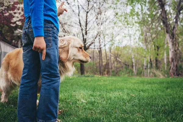 Мальчик Стоящий Саду Своей Золотой Собакой Ретривером — стоковое фото