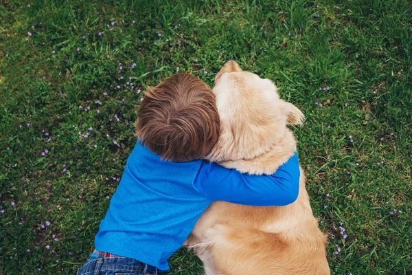 Nad Głową Widok Chłopca Przytulającego Swojego Psa Golden Retrievera — Zdjęcie stockowe