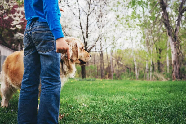 男孩和他那只金黄色的猎犬站在花园里 — 图库照片