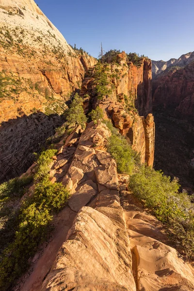 Parque Nacional Zion Cañón Zion — Foto de Stock