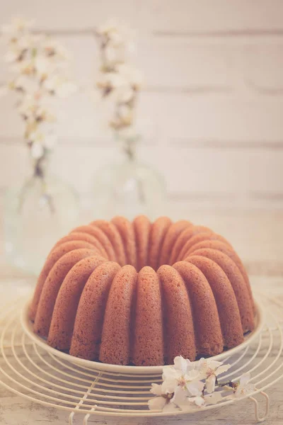 Homemade Cake Powdered Sugar White Background — Stock Photo, Image