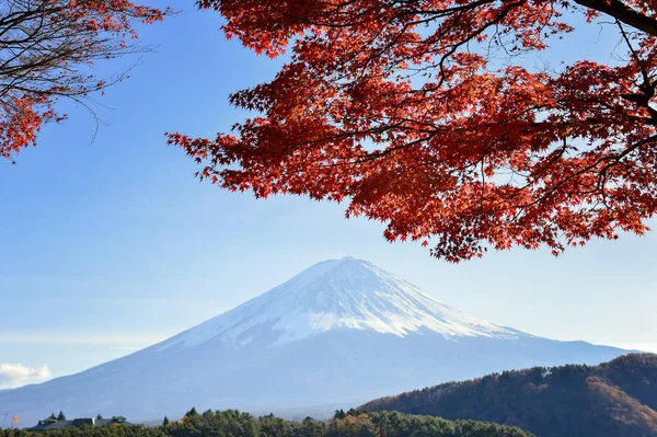 Autumn Japan Fuji Blackground Fujiyoshida Japan — Stock Photo, Image