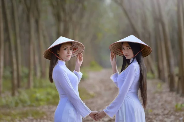 Mulher Bonita Com Cultura Vietnã Vestido Tradicional Traje Tradicional Estilo — Fotografia de Stock