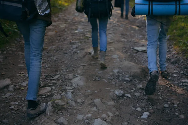 Tři Lidé Kráčející Pěšině Lese Ukrajina — Stock fotografie