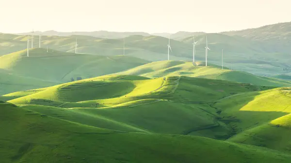 Wind Turbines Rolling Landscape California America Usa — Stock Photo, Image