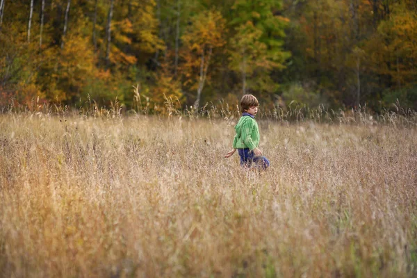 Мальчик Гуляющий Поле Осенним Днем — стоковое фото