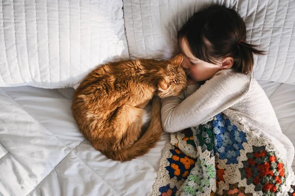 Menina Jovem Dormindo Cama Com Gato — Fotografia de Stock