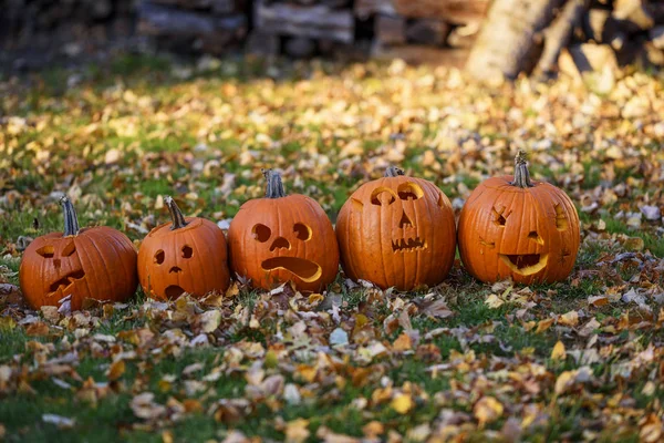 Five Jack Lanterns Lined Row Garden United States — Stock Photo, Image