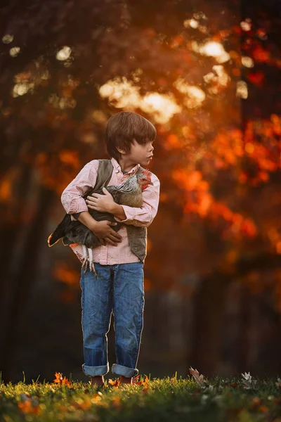Chlapec Stojící Venku Mazlí Kuře Spojené Státy — Stock fotografie
