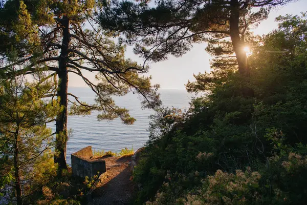 Vacker Utsikt Över Solnedgången Kustlandskap Ryssland — Stockfoto