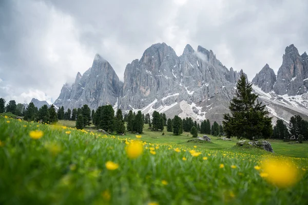 Piękny Widok Szczyty Górskie Parku Przyrody Puez Geisler Dolomity Trentino — Zdjęcie stockowe