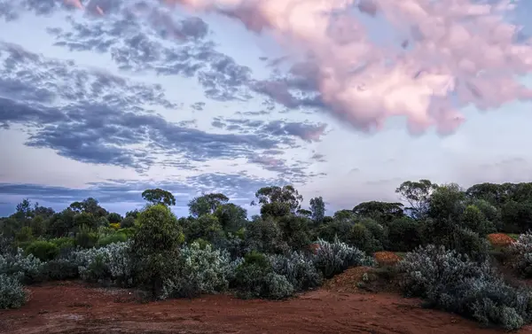 Scenic View Desert Landscape Sunset Kalgoorlie Western Australia Australia — Stock Photo, Image
