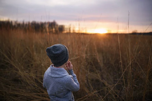 Boy Standing Field Sunset Chewing Piece Long Grass United States —  Fotos de Stock