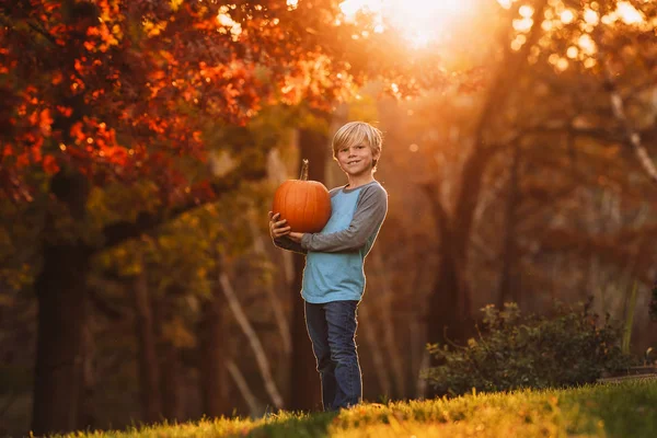 Boy Standing Garden Holding Pumpkin Stany Zjednoczone Ameryki — Zdjęcie stockowe