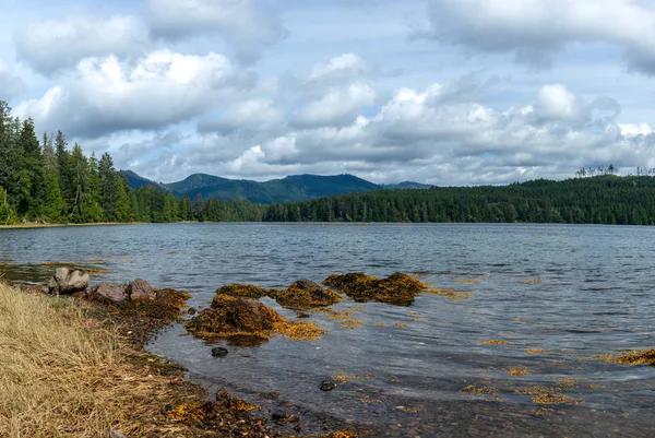 Schilderachtig Uitzicht Landelijke Strand Vancouvereiland Brits Columbia Canada — Stockfoto