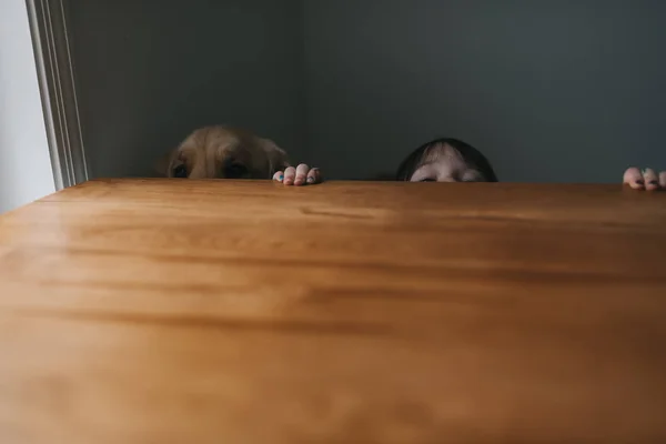 Κορίτσι Που Κρύβεται Πίσω Από Ένα Τραπέζι Σκύλο Της — Φωτογραφία Αρχείου
