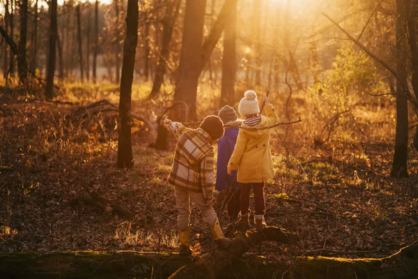 Três Crianças Brincando Floresta Estados Unidos — Fotografia de Stock