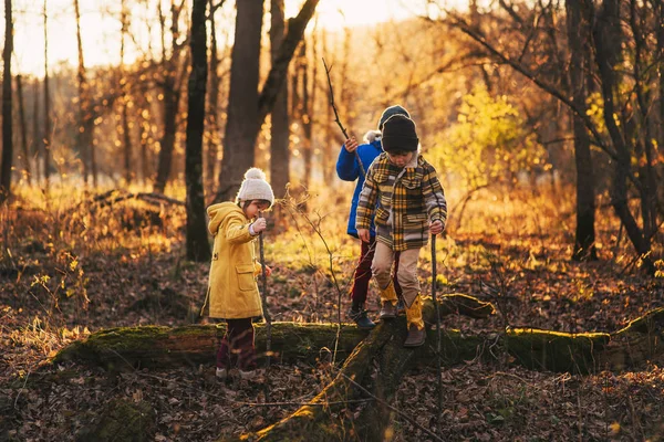 Drei Kinder Spielen Wald Vereinigte Staaten — Stockfoto