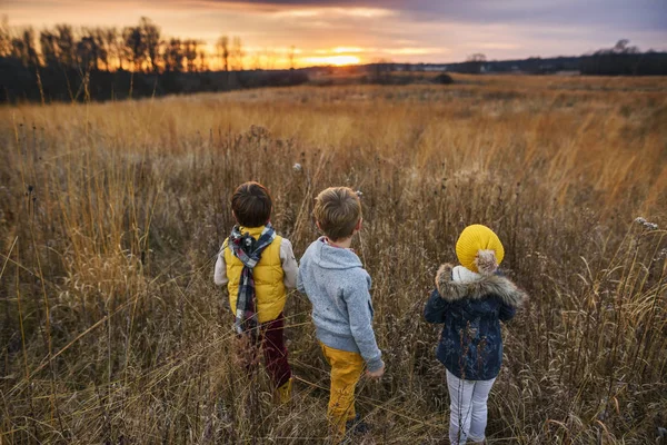 Trois Enfants Debout Dans Champ Coucher Soleil États Unis — Photo