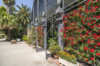 Valencia.Spain Botanik Bahçe.