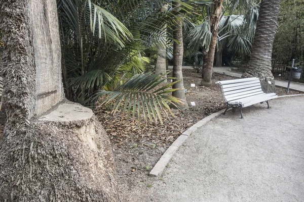 Jardín Botánico Valencia España — Foto de Stock