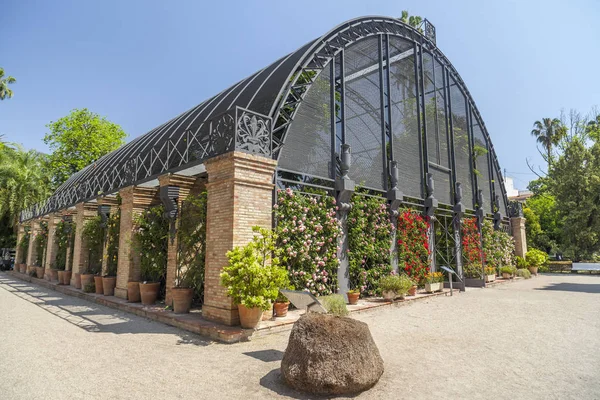 Orto Botanico Valencia Spagna — Foto Stock