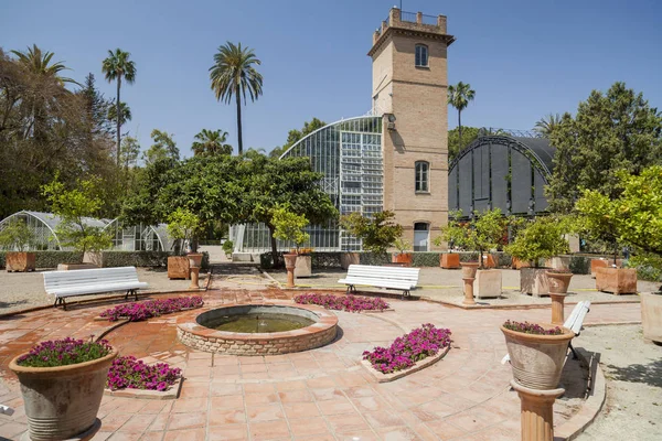 Orto Botanico Valencia Spagna — Foto Stock