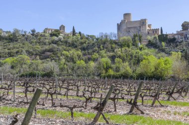 Penedes şarap kava alan üzüm bağları ve kale Castellet, Catalonia, İspanya ile manzara.