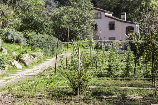 Antigua Masía Casa Rural Jardín Botánico Histórico Parque Montjuic Barcelona — Foto de Stock