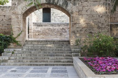 Bahçe katedral alanında Palma, Balear Adaları, İspanya.