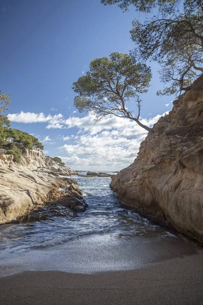 Playa Mediterránea Costa Brava Platja Aro Cataluña España — Foto de Stock