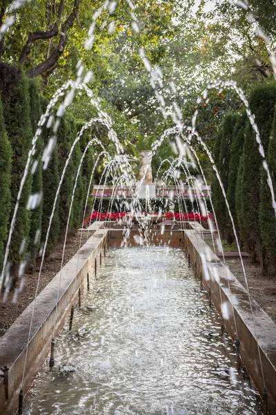 Zahrada Katedrále Oblasti Palma Baleárské Ostrovy Španělsko — Stock fotografie