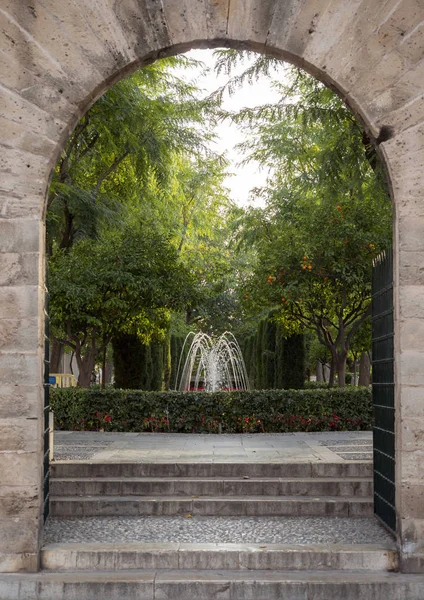 Giardino Nella Zona Cattedrale Palma Isole Baleari Spagna — Foto Stock