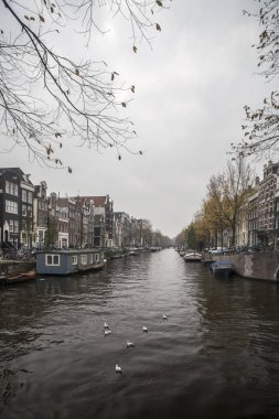 Tarihi merkez, tipik Hollanda evleri ve kanal. Amsterdam.
