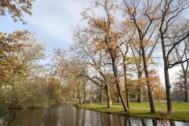 Sonbahar günü Vondelpark, Amsterdam.