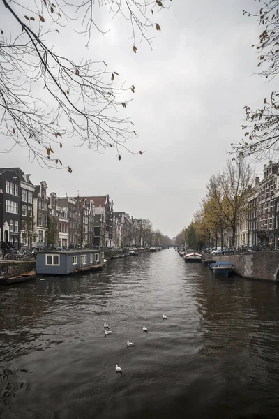 Tarihi merkez, tipik Hollanda evleri ve kanal. Amsterdam.