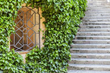 Bahçe taş merdiven ve metal pencere kapı.