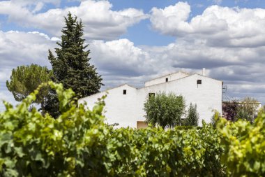 Penedes kırsal çiftlik alanı, Catalonia.Spain şarap.