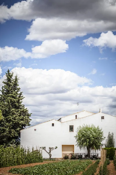 Penedes kırsal çiftlik alanı, Catalonia.Spain şarap.