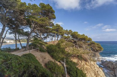 Lloret de Mar'daki Akdeniz kıyıları ve kayalıklar, Costa Brava, Katalonya, İspanya.
