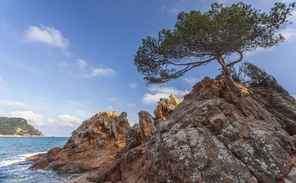 Praia de Fenals em Lloret de Mar, Costa Brava, Catalunha, Espanha . — Fotografia de Stock