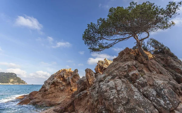 Пляж Fenals в Lloret de Mar, Коста Брава, Каталония, Испания . — стоковое фото