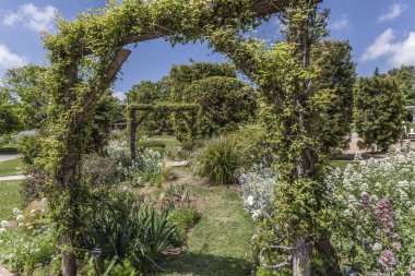 Kamu parkı, bahar günü, Rose Garden, Parc Cervantes Les Corts Barcelona, Katalonya, İspanya.