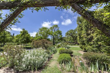 Kamu parkı, bahar günü, Gül Bahçesi, Parc Cervantes  