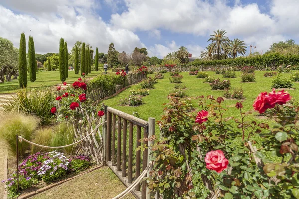 Veřejný park, jarní den, Rose Garden, Parc Cervantes v Les Corts, čtvrť Barcelona, Katalánsko, Španělsko. — Stock fotografie