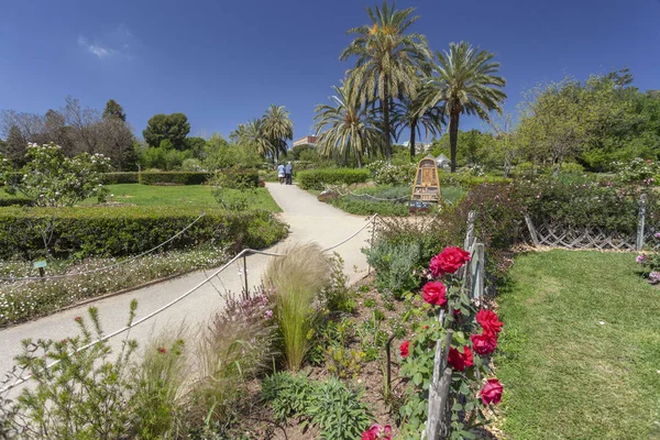 Veřejný park, jarní den, Rose Garden, Parc Cervantes v Les Corts, čtvrť Barcelona, Katalánsko, Španělsko. — Stock fotografie